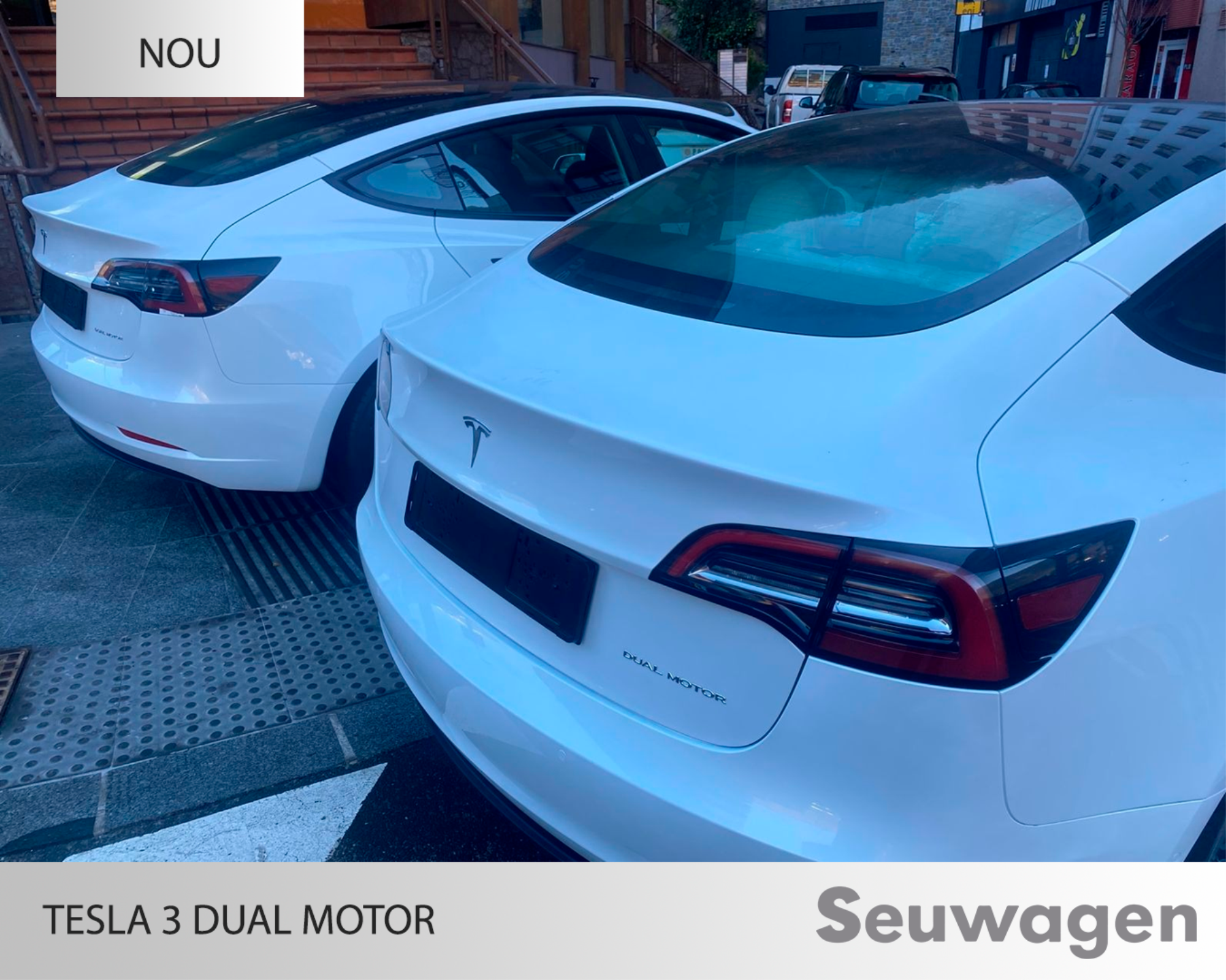 Tesla Model 3 Dual MotorRenting