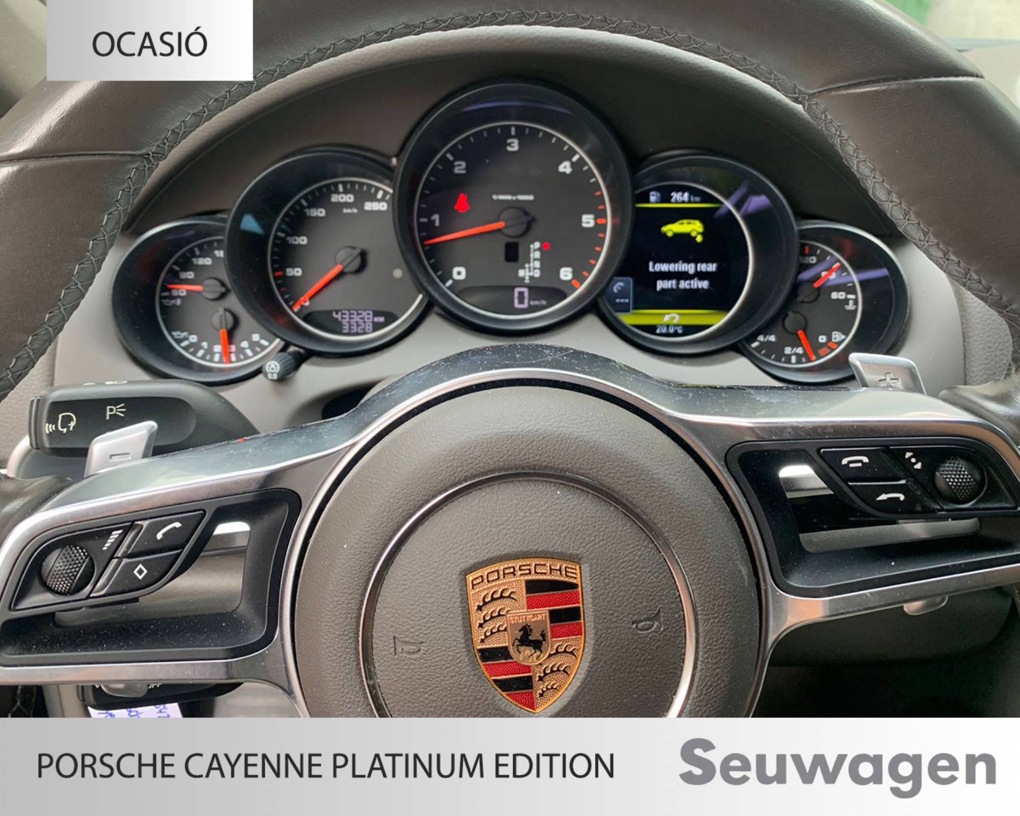 Porsche Cayenne Platinum Edition full equip