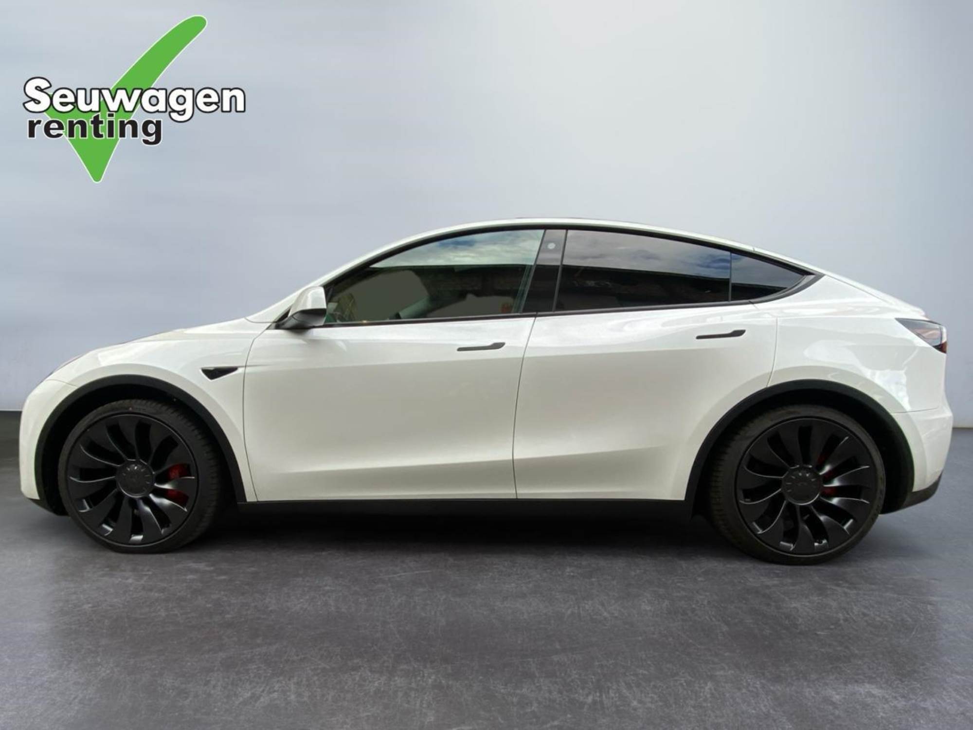 Tesla Model Y Performance 