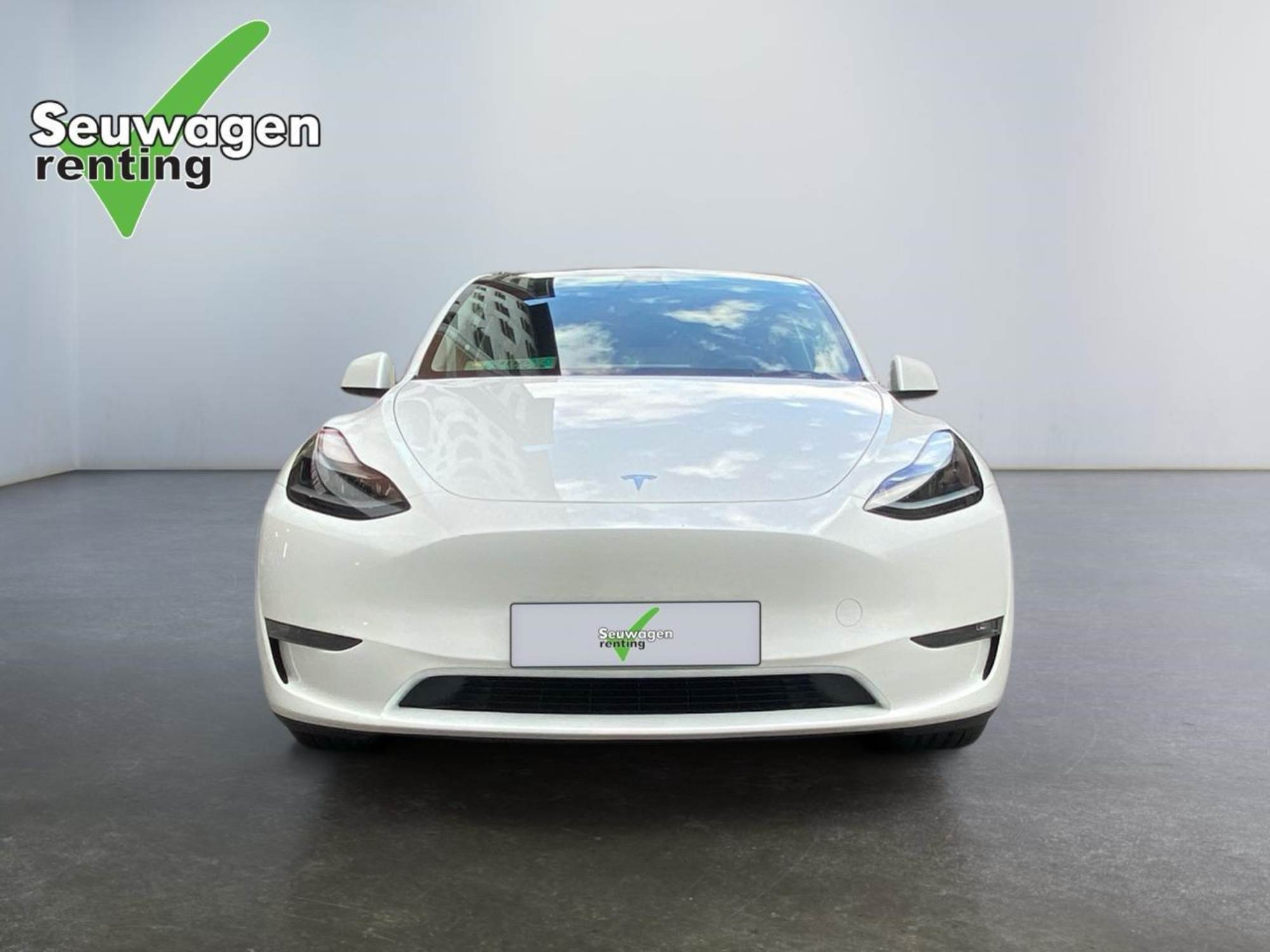 Tesla Model Y Performance 