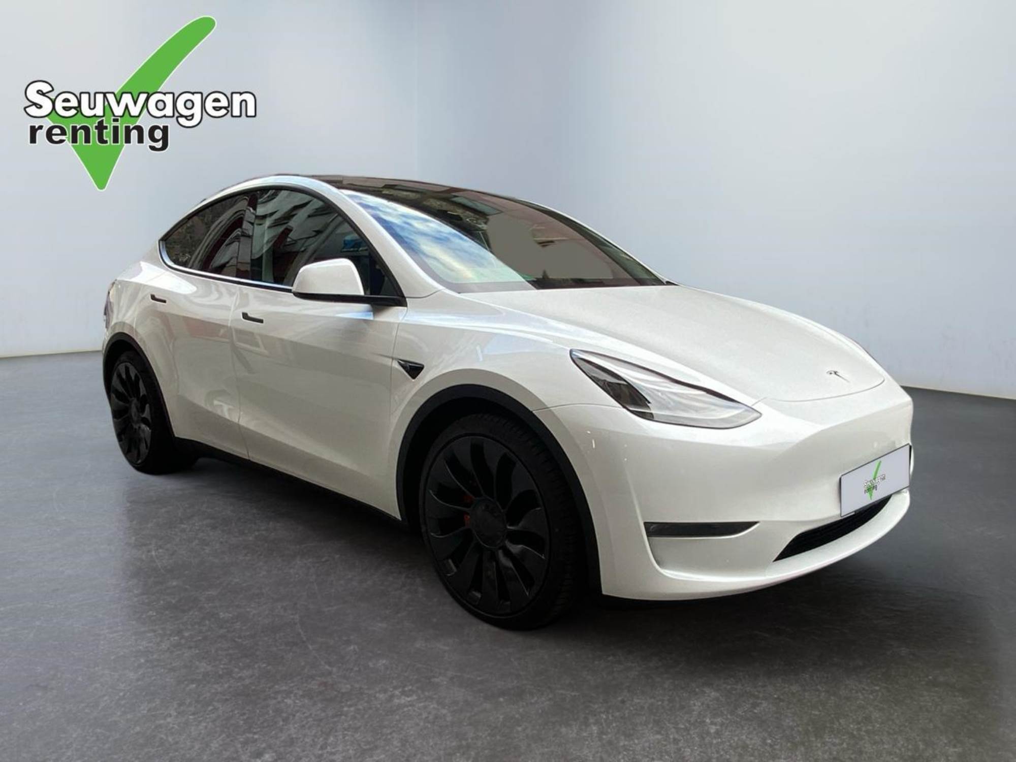 Tesla Model Y Performance 