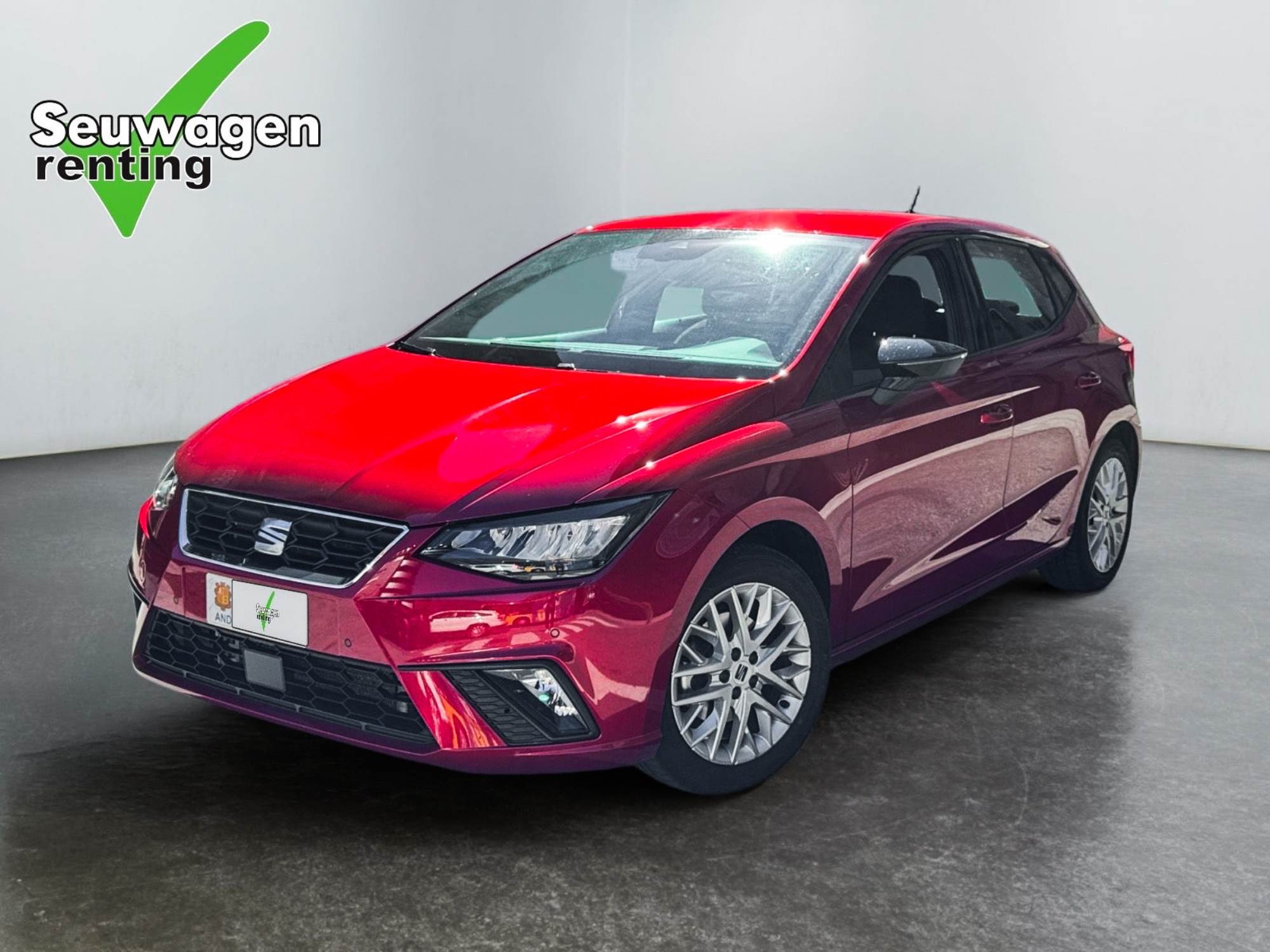 Ibiza 110 CV