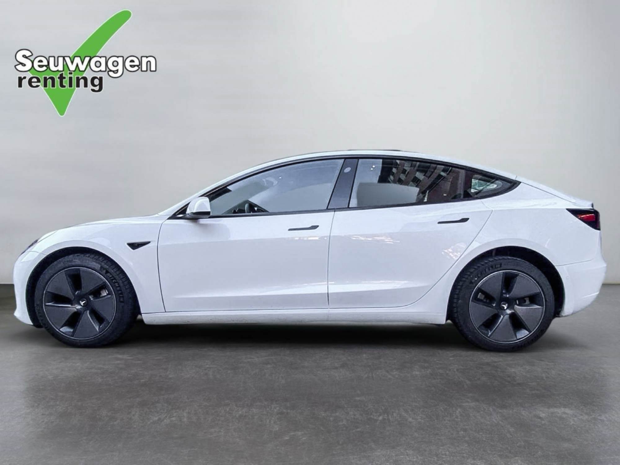 Tesla Model 3 497 CV