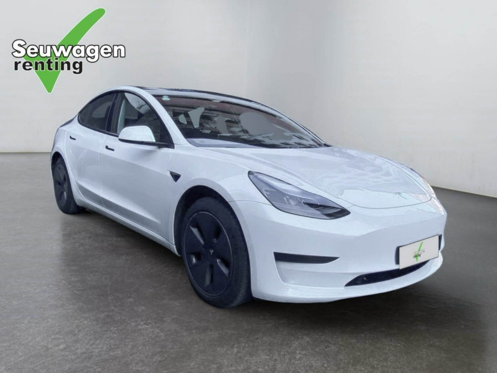 Tesla Model 3 497 CV