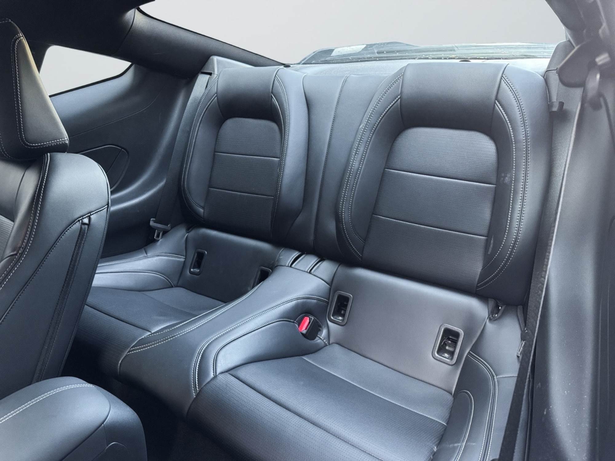 Ford Mustang V8 GT 446 cv