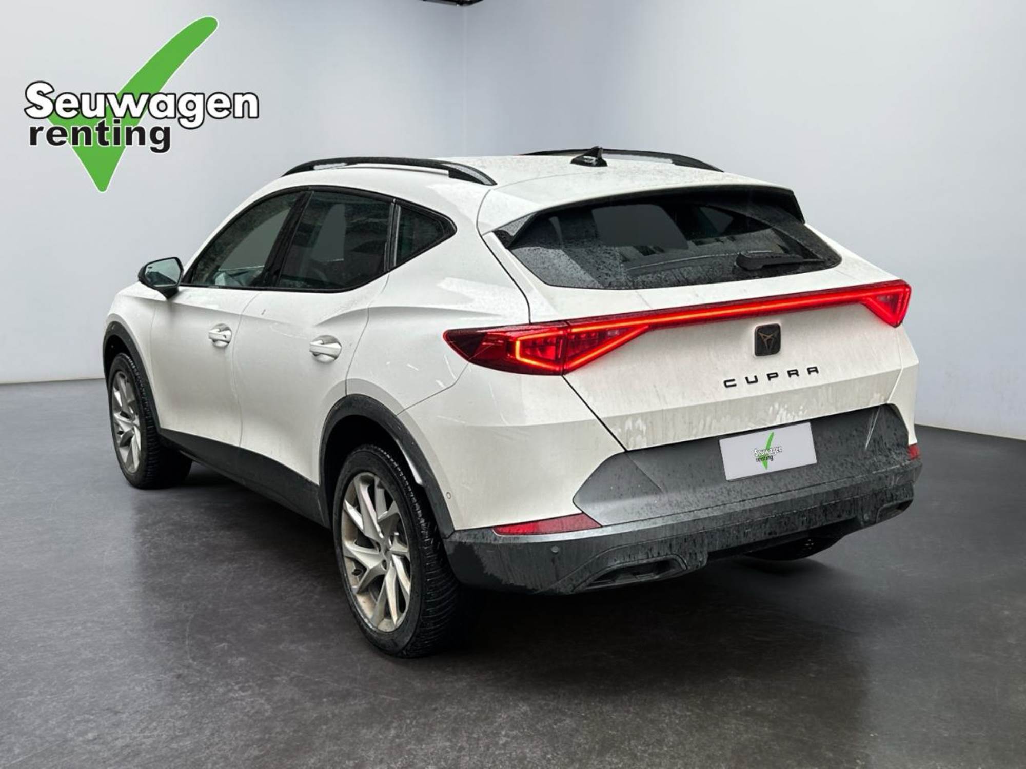 Cupra Formentor 190 CV 4x4