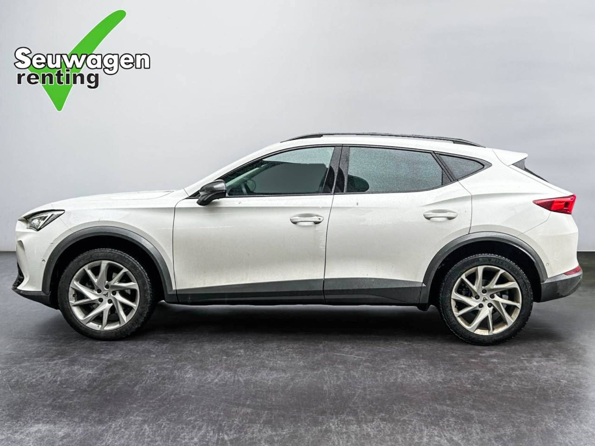 Cupra Formentor 190 CV 4x4