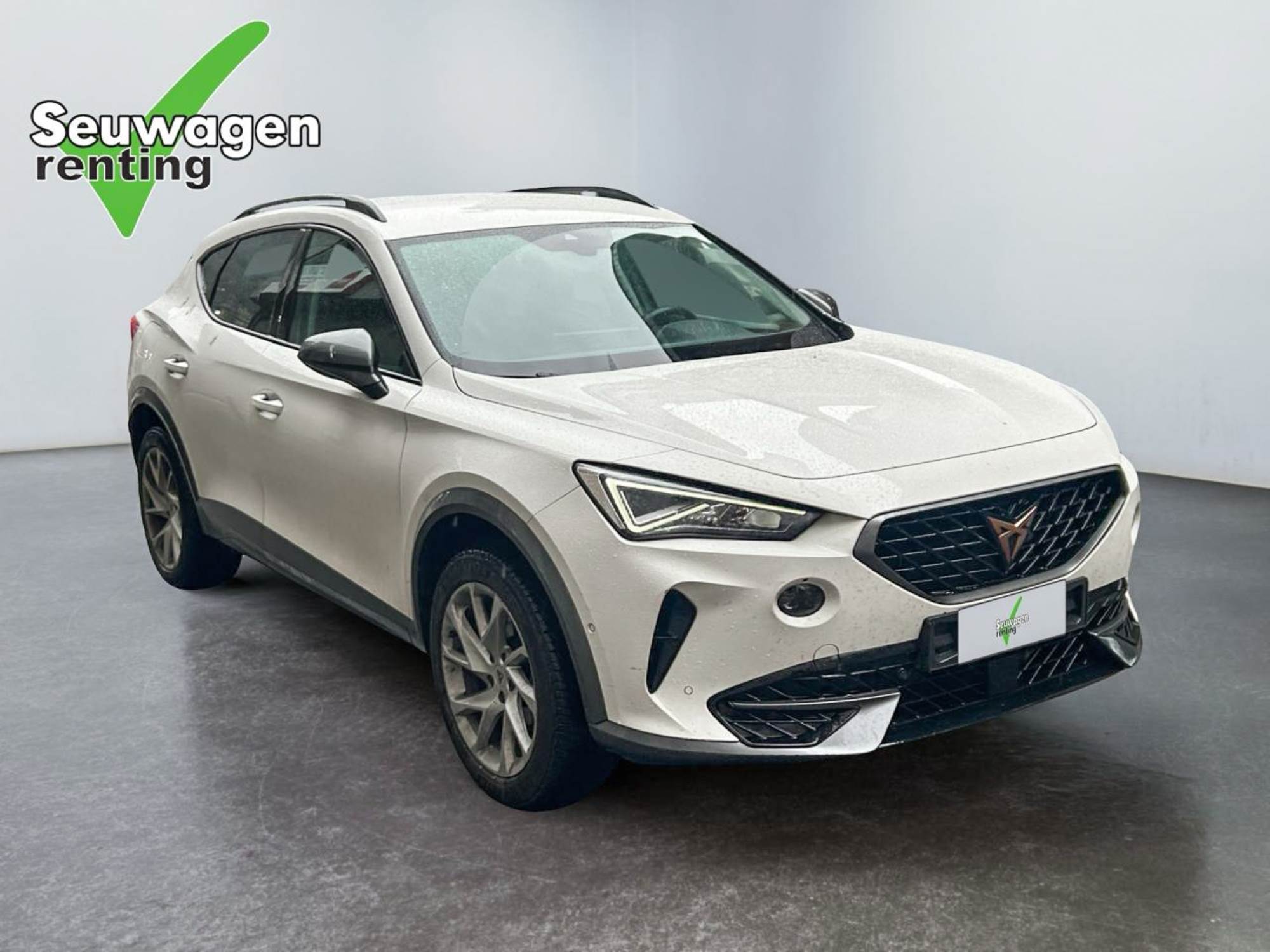 Cupra Formentor 190 CV 4x4