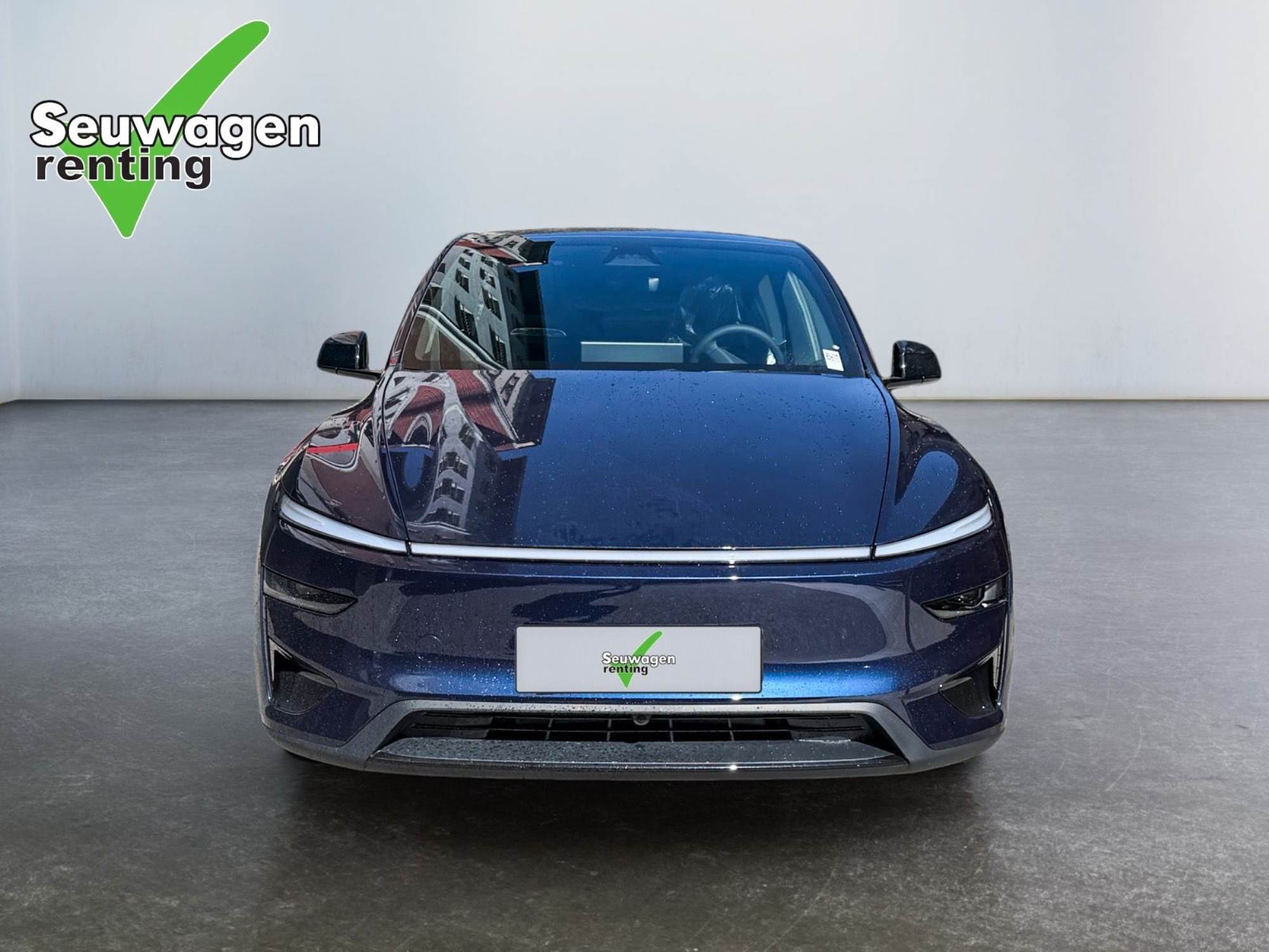 Tesla Model Y Performance 534 CV
