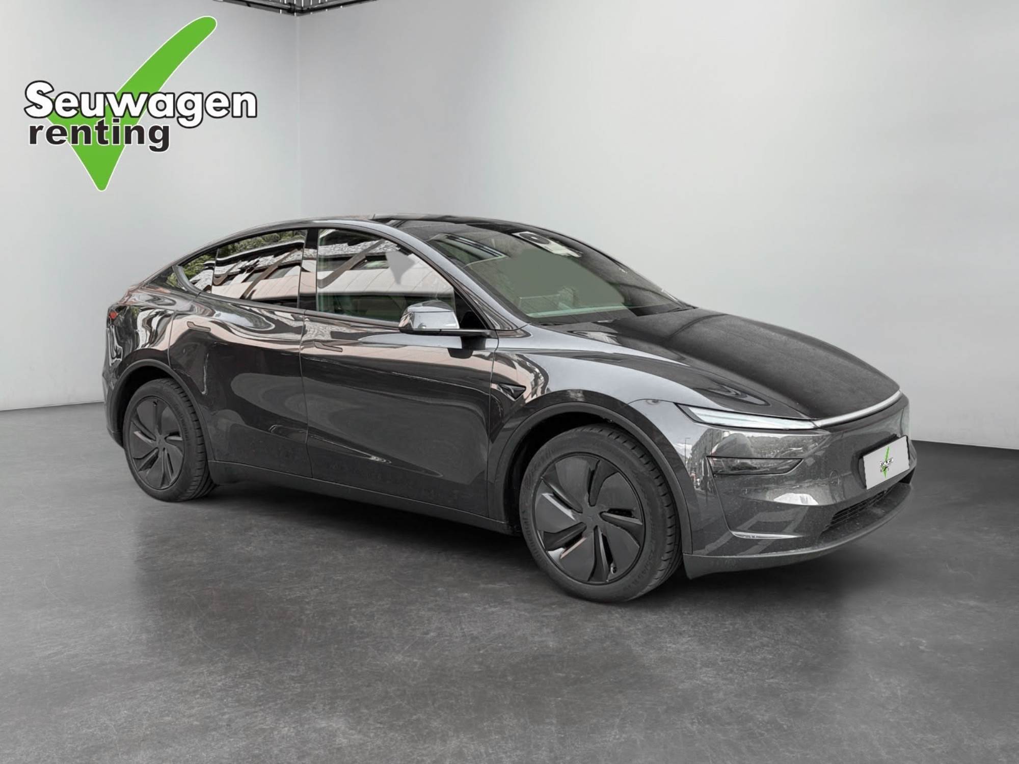 Tesla Model Y Dual Motor 497 CV