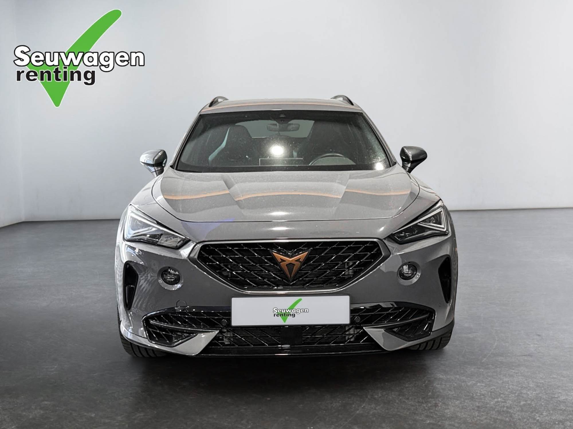 Cupra Formentor VZ 310 CV