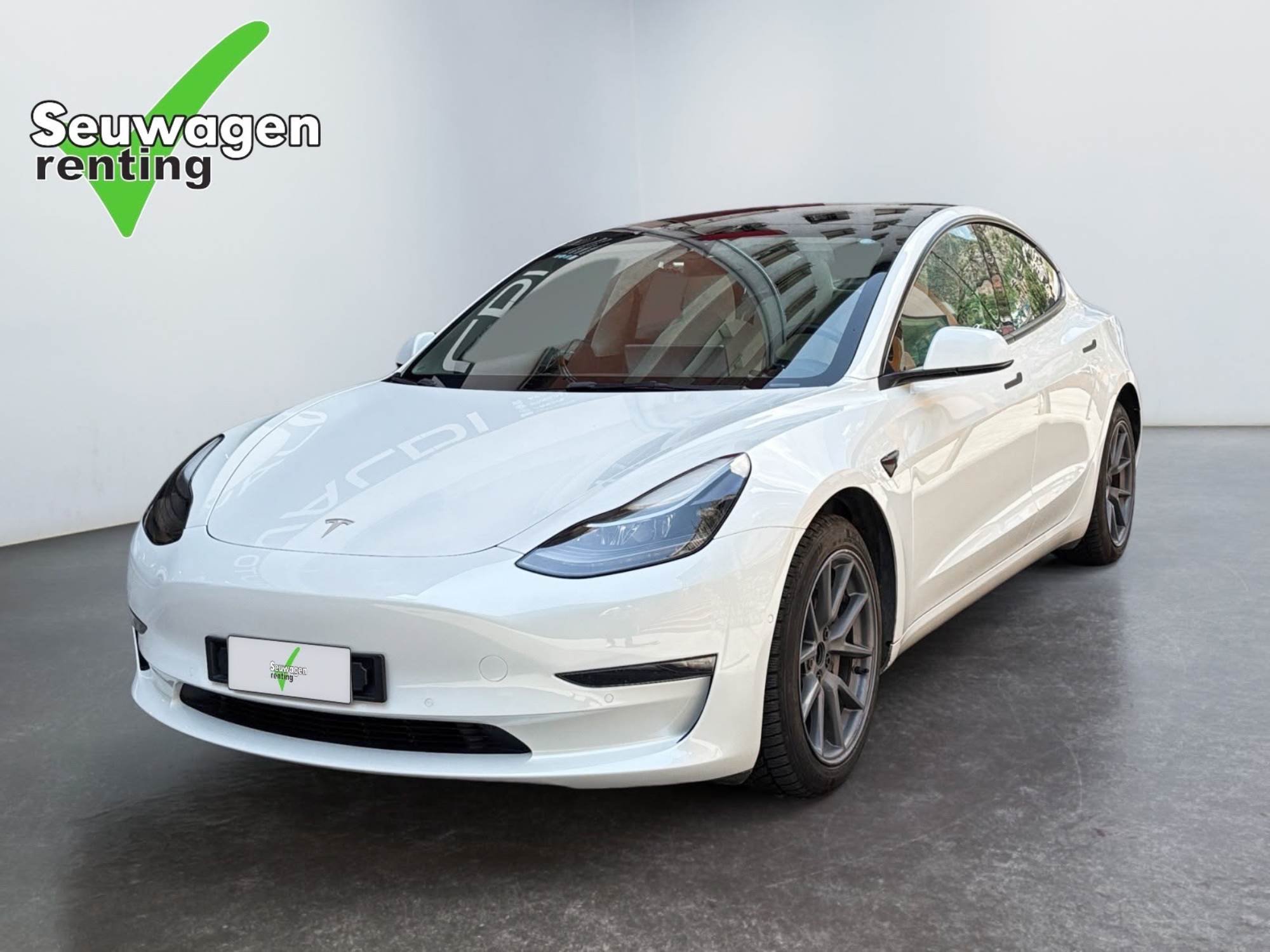 Model 3 Dual Motor Long Range