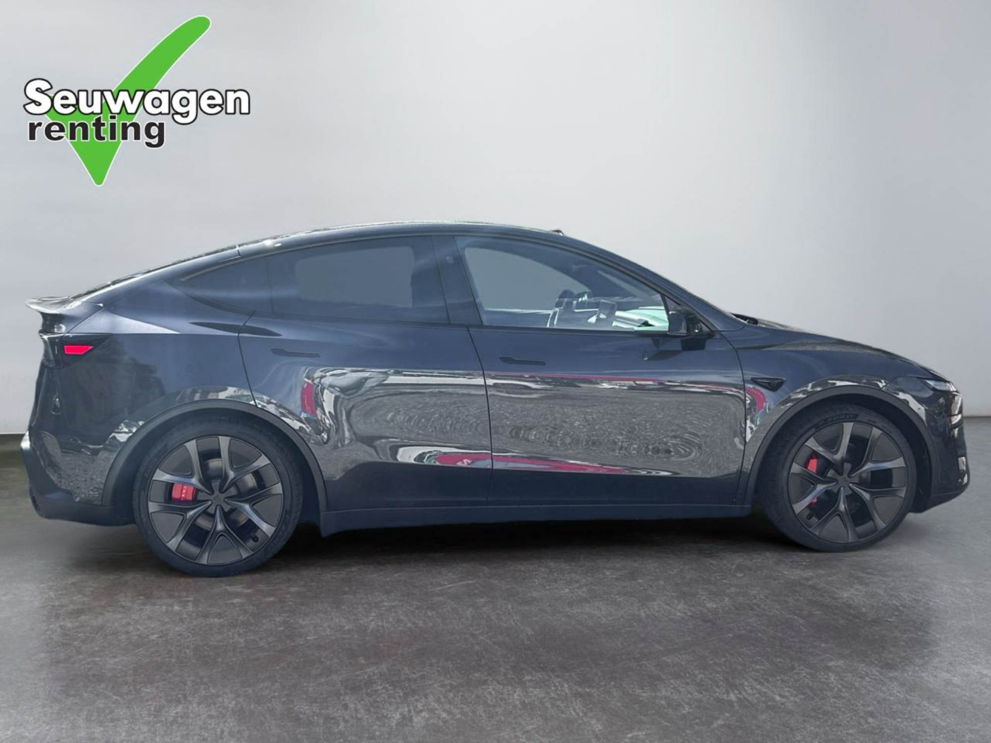 Tesla Model Y Performance
