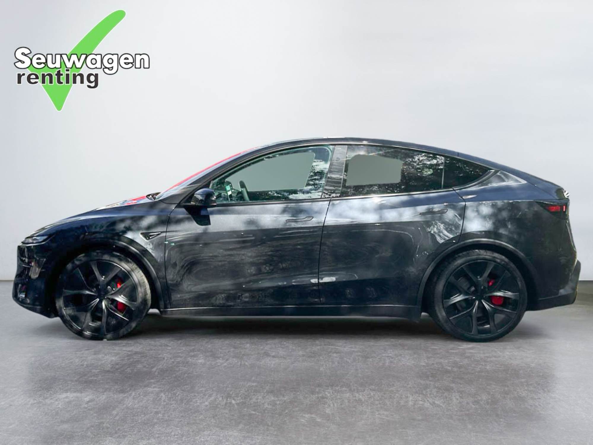 Tesla Model Y Performance