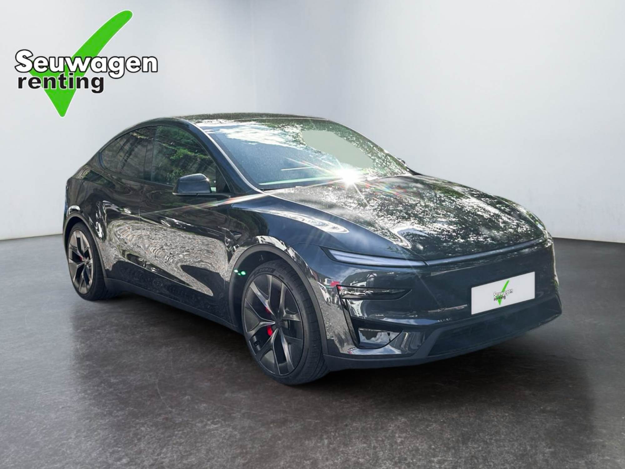 Tesla Model Y Performance