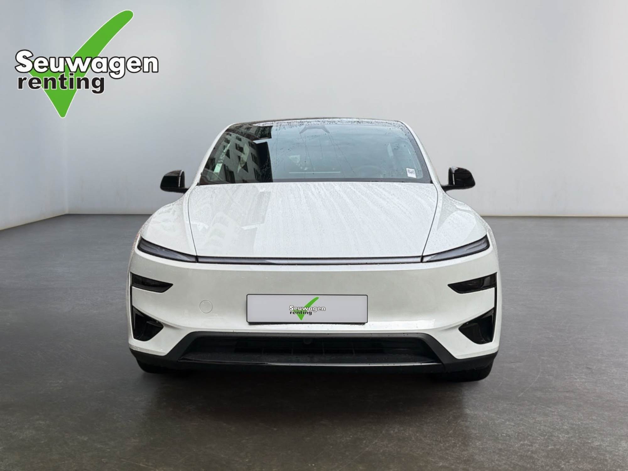 Tesla Model Y Performance 