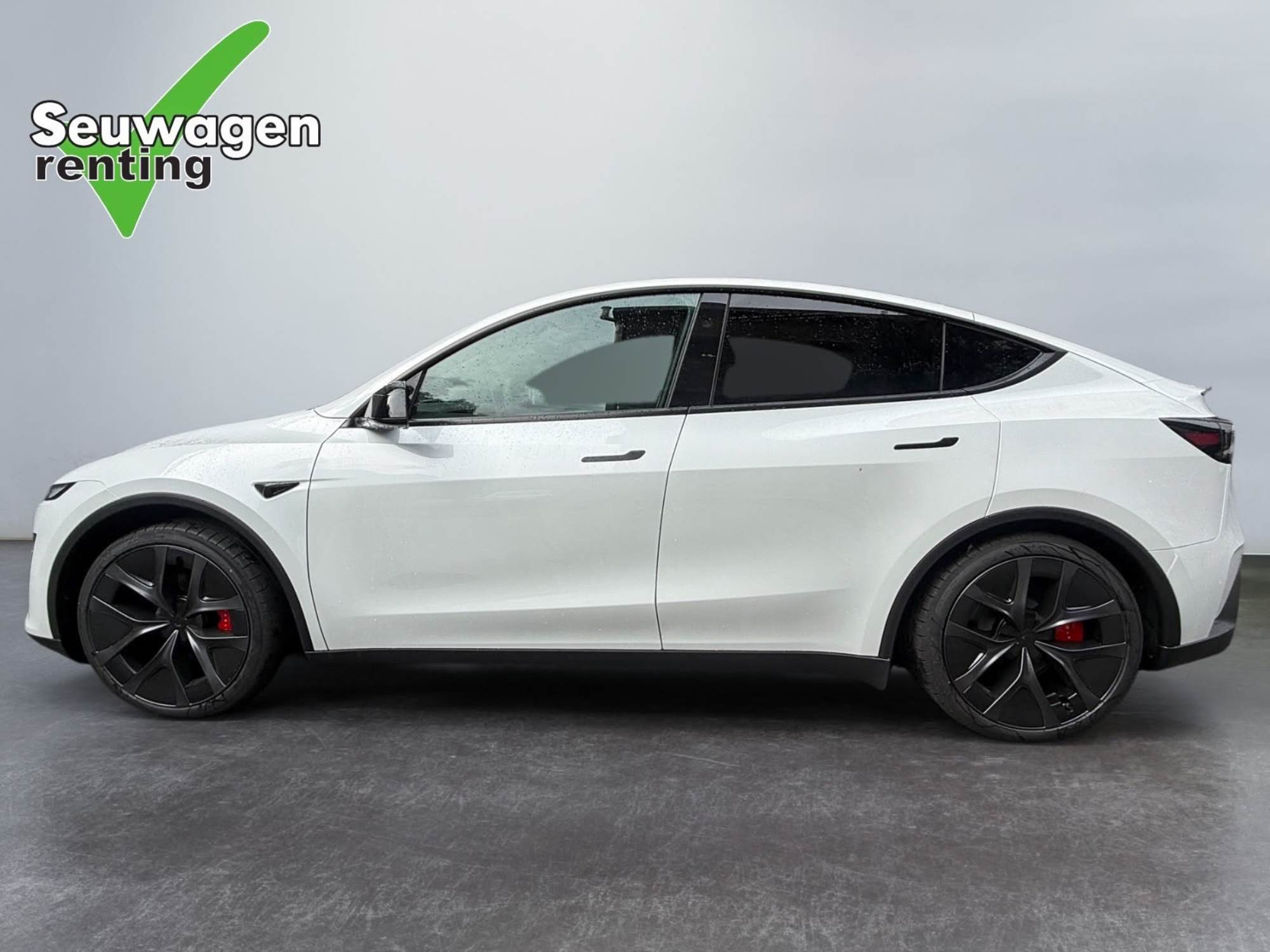 Tesla Model Y Performance 
