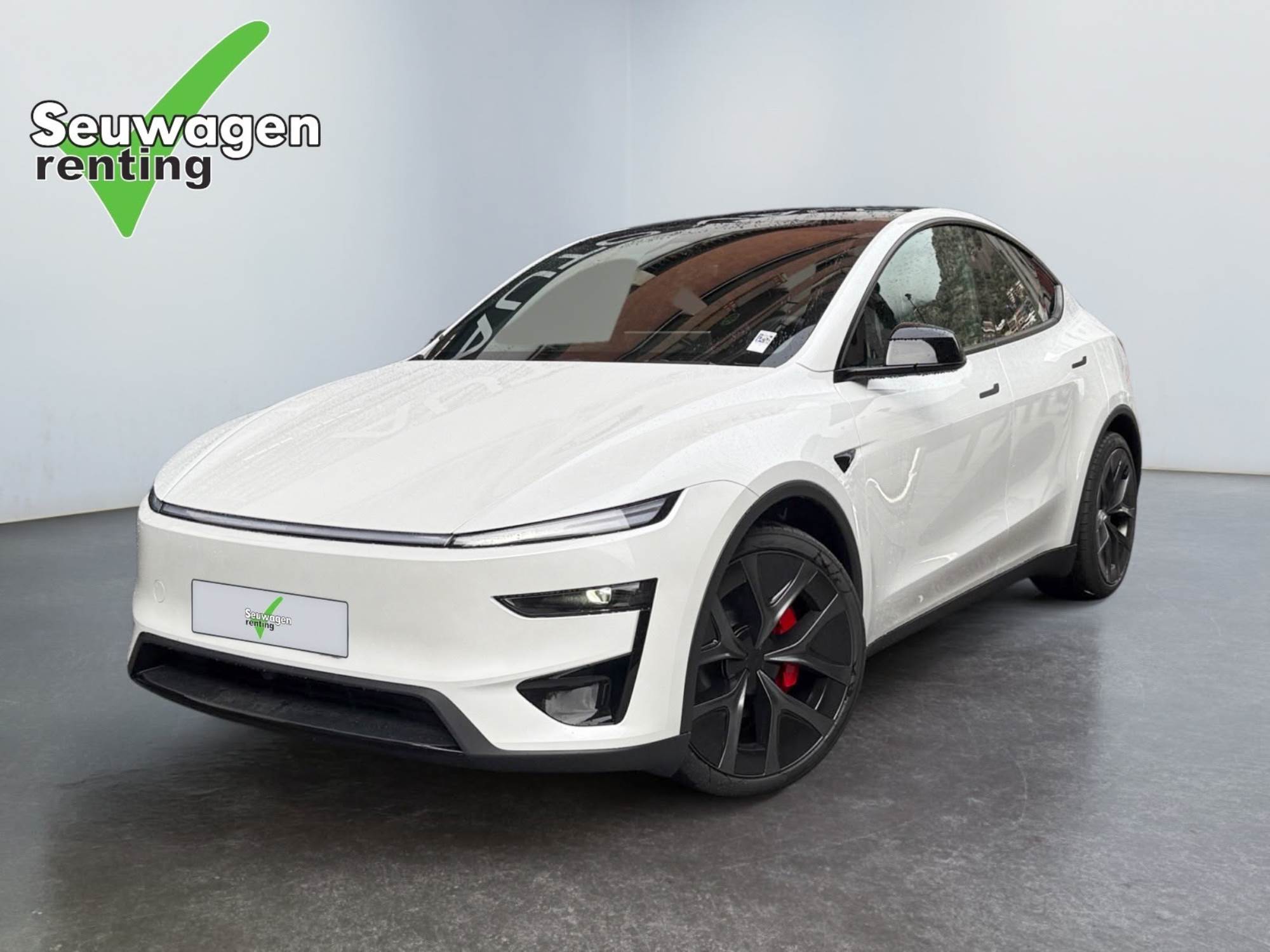 Model Y Performance 
