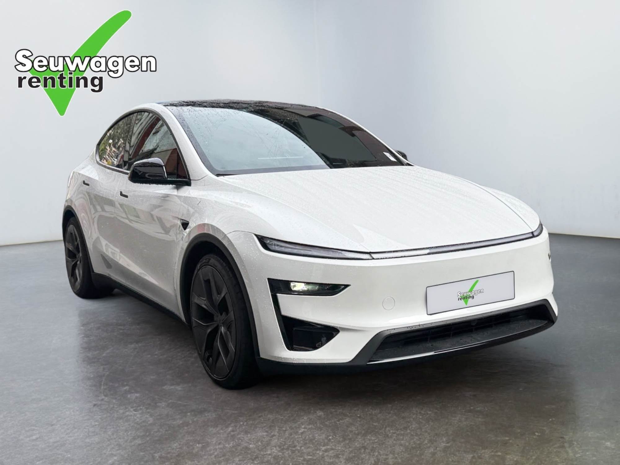 Tesla Model Y Performance 