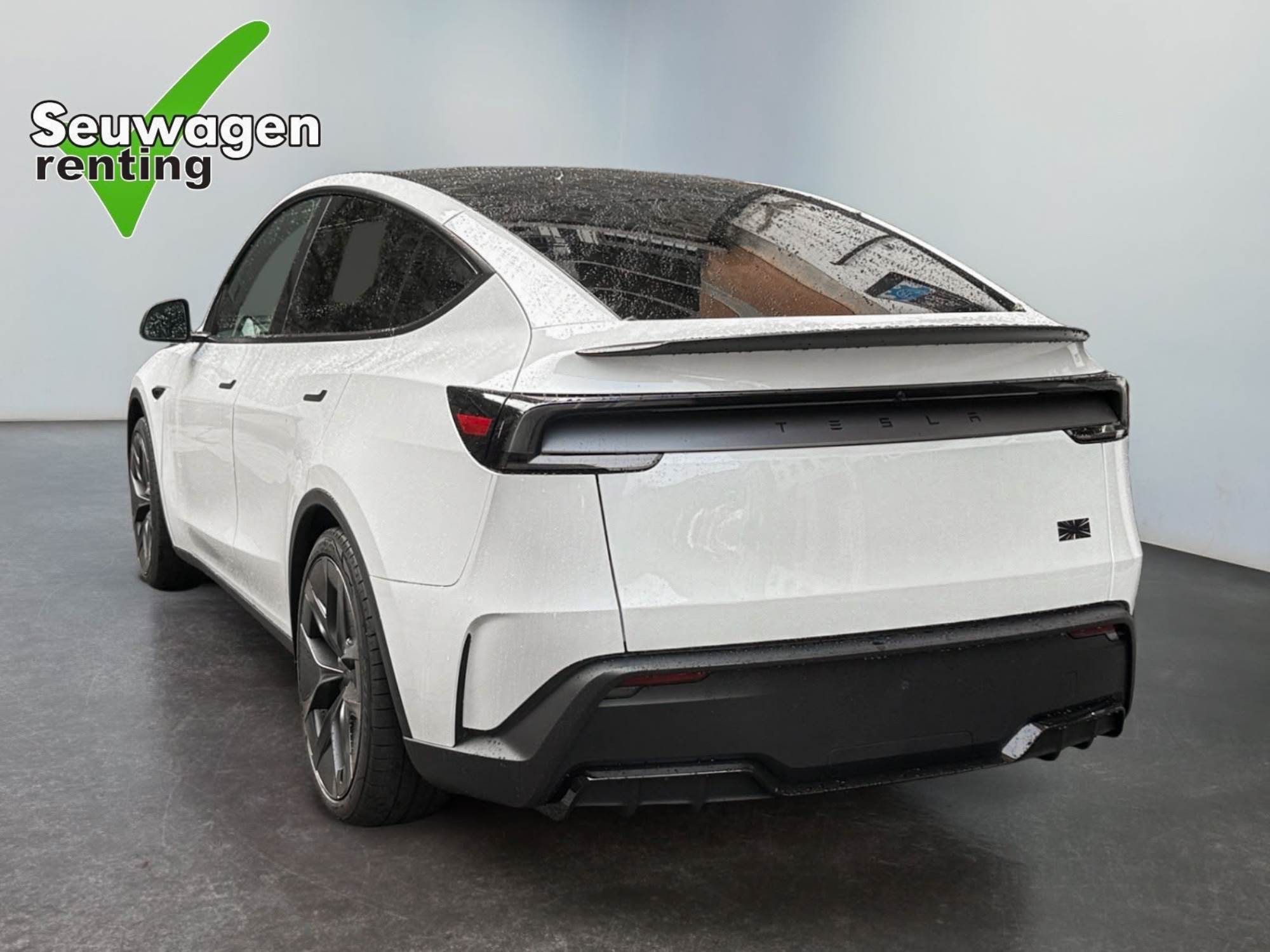 Tesla Model Y Performance 