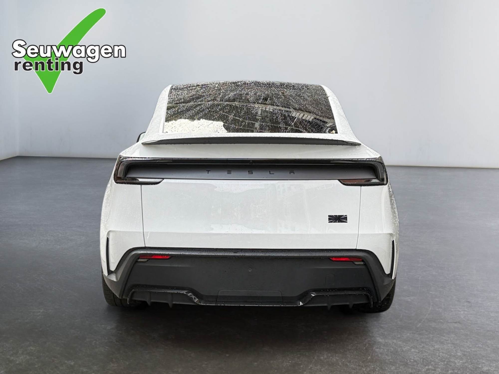Tesla Model Y Performance 