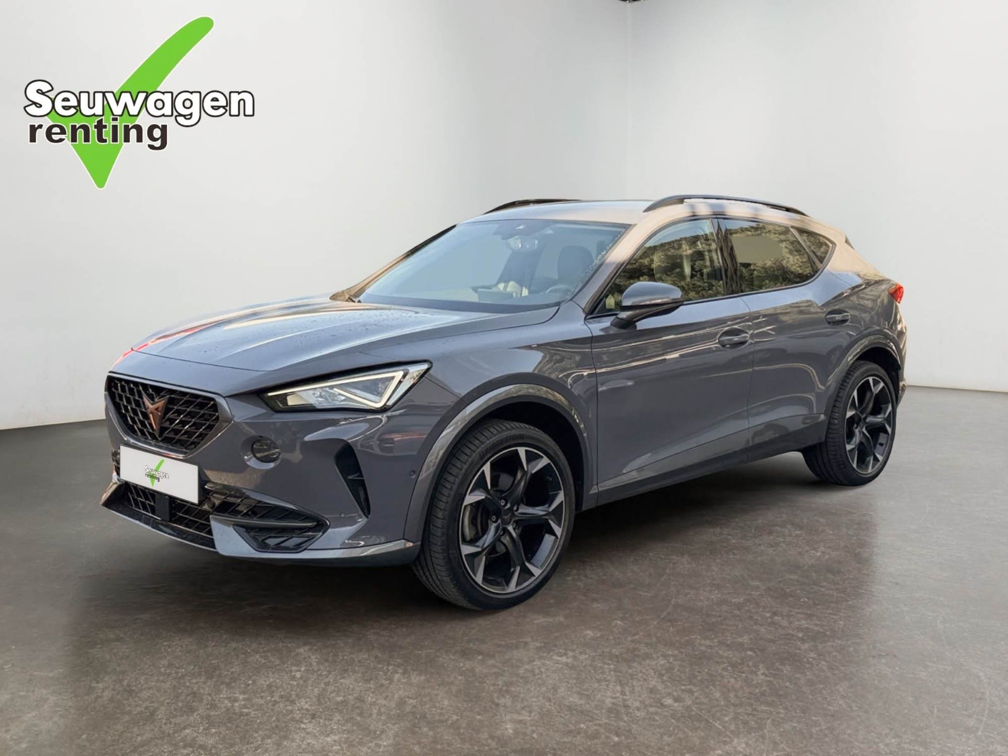 Formentor 2.0 TSI 4Drive