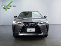 Lexus UX 250h 