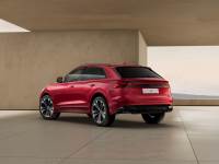 Audi Q8 BlackLine 50TDI quattro tiptronic